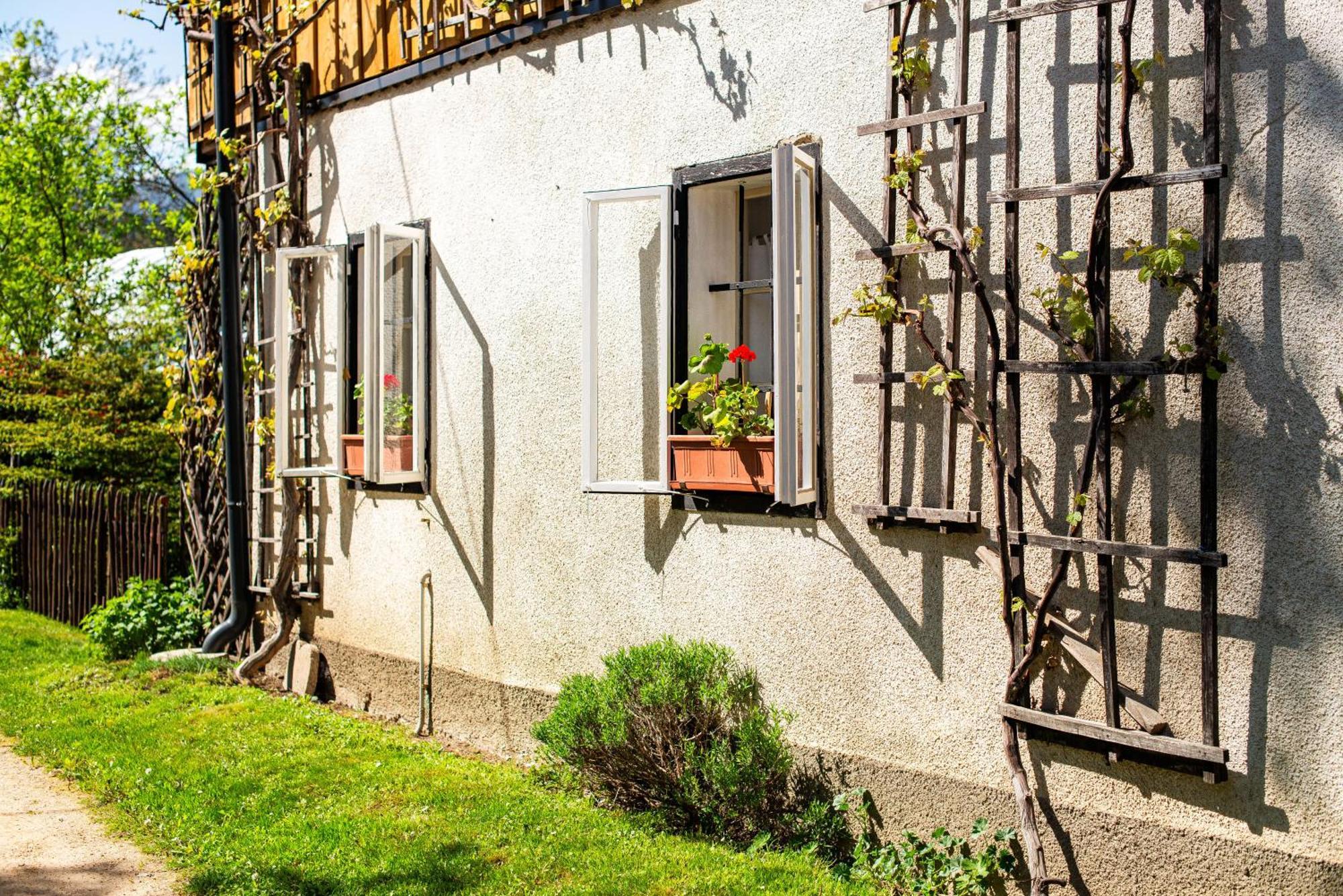 House, Garden And A Green Cat Bled Exterior photo