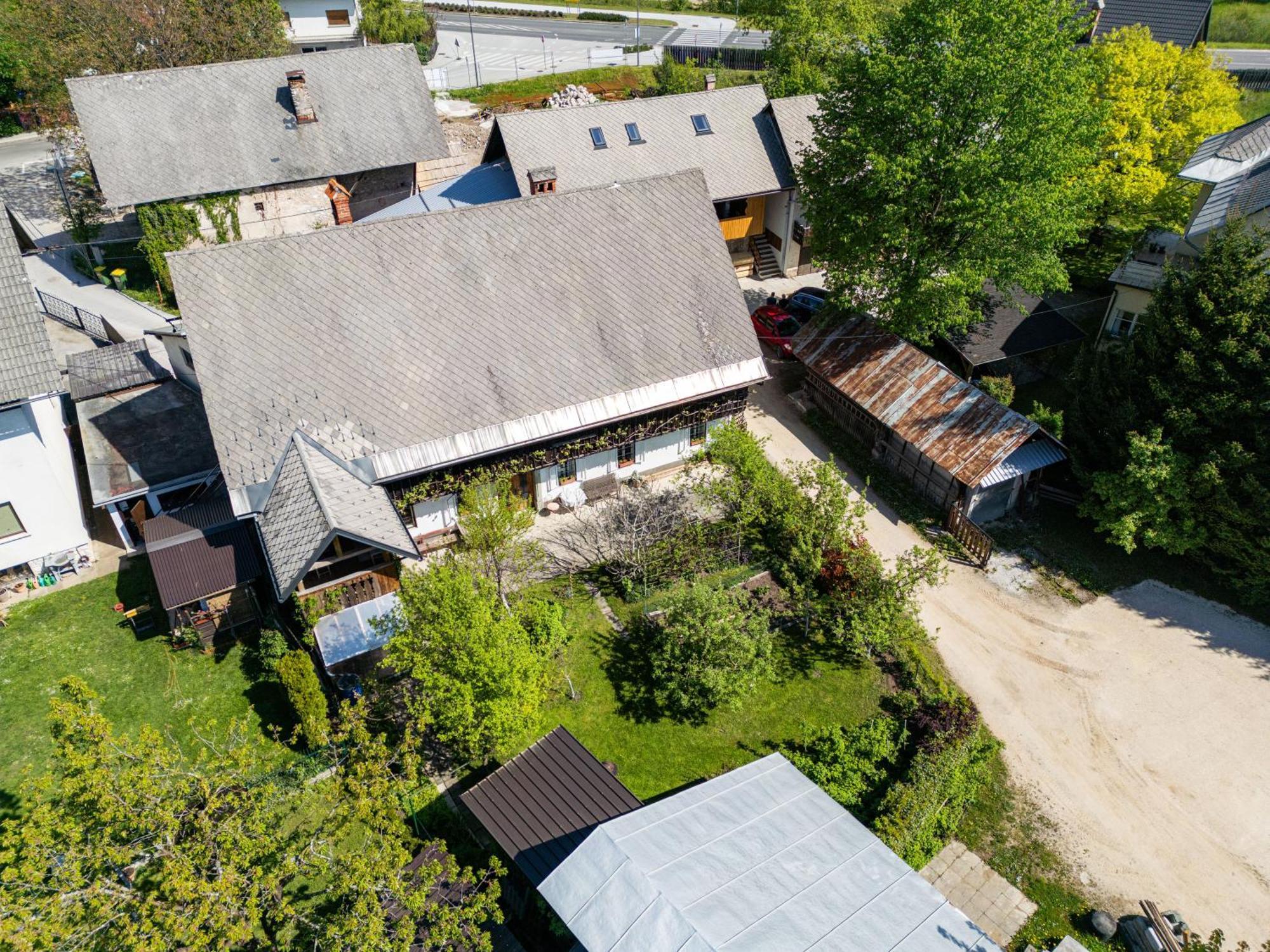 House, Garden And A Green Cat Bled Exterior photo
