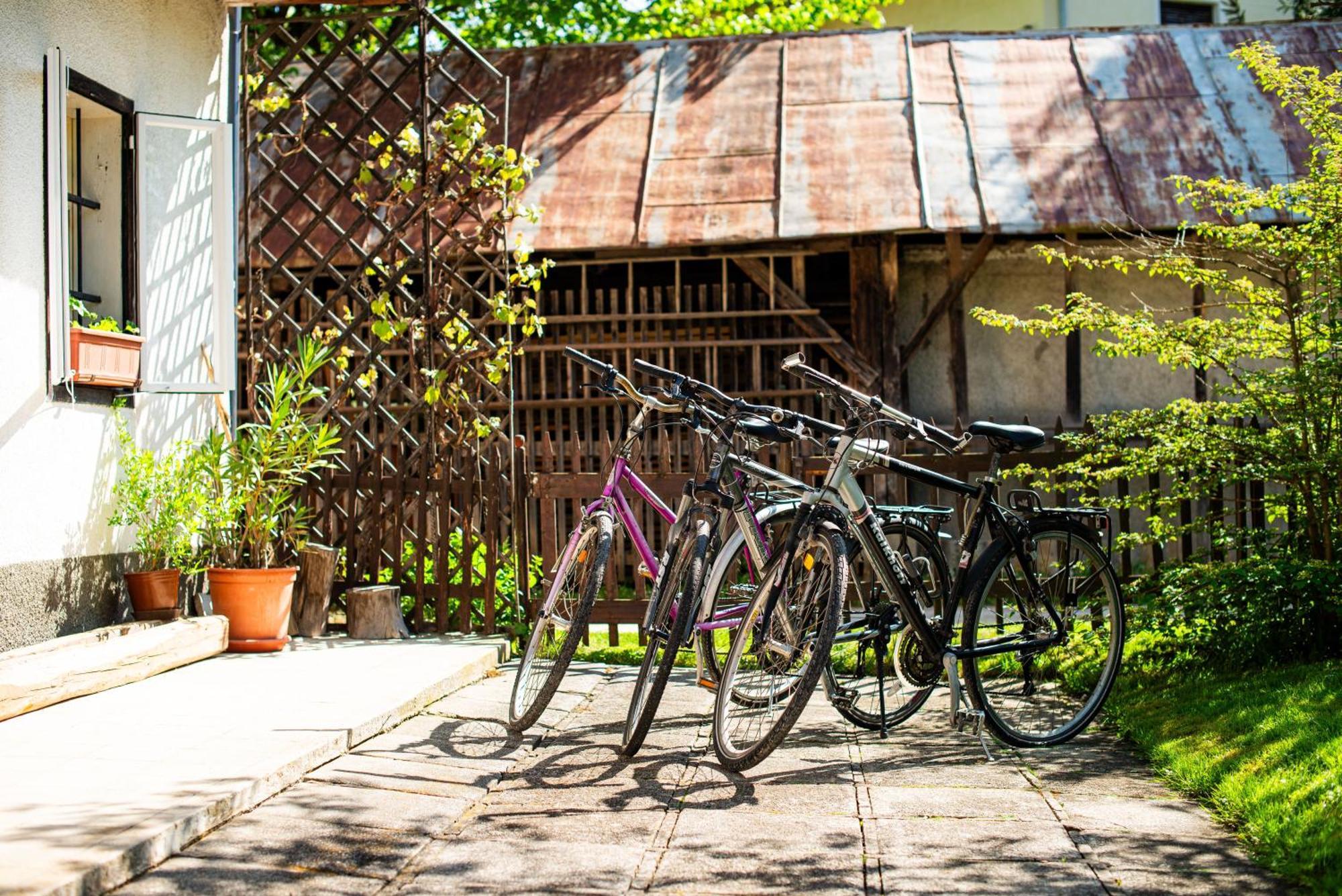 House, Garden And A Green Cat Bled Exterior photo