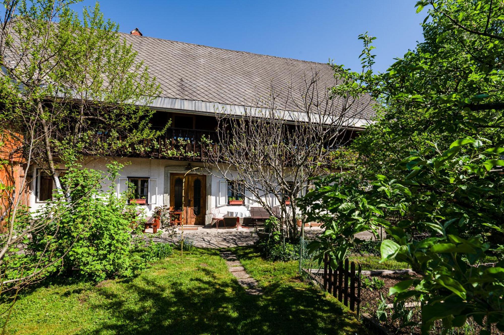 House, Garden And A Green Cat Bled Exterior photo