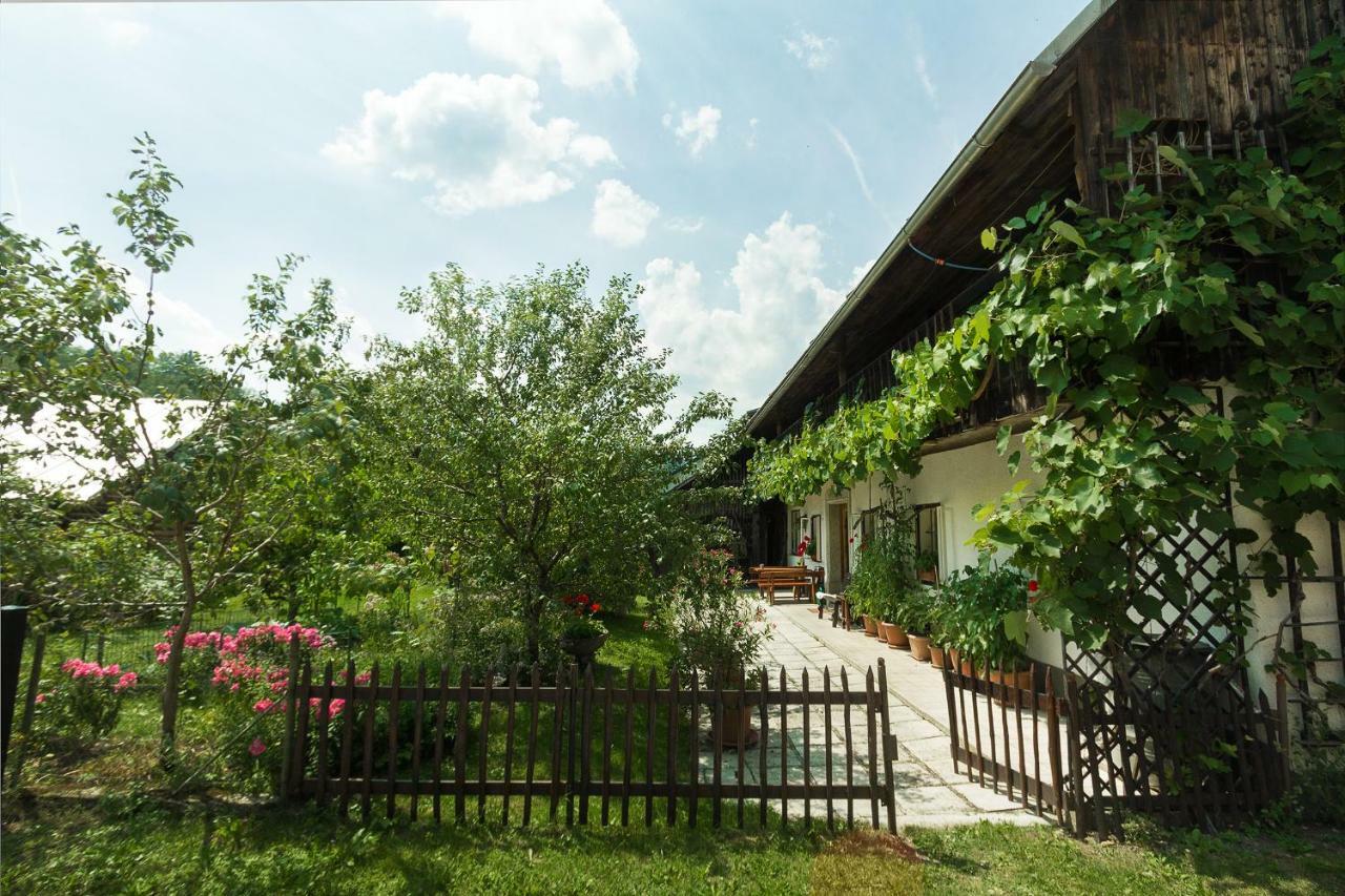 House, Garden And A Green Cat Bled Exterior photo